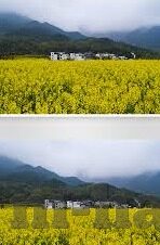 app软件免费下载糖心-探索丰富多彩的日常生活——体验糖心app的免费魅力