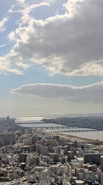 大象传媒app黄-大象传媒app的真相，揭开网络世界的迷雾