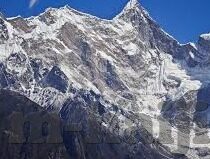 大象儿童视频0-3岁-激发潜能，大象儿童视频在0-3岁早教中的角色