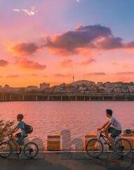 麻豆av在线播放-关注网络健康与合理上网，警醒不当内容搜索麻豆AV在线播放