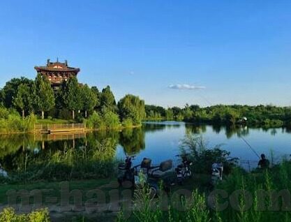 免费观看麻豆视频-免费流媒体时代的视觉盛宴，解锁麻豆视频的奇妙之旅