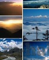 瑜伽福利在线一区二区-瑜伽的在线福祉，一区二区的静谧之旅